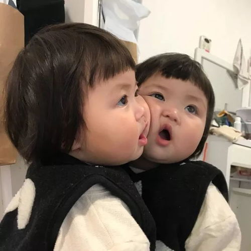  可盐可甜头像集