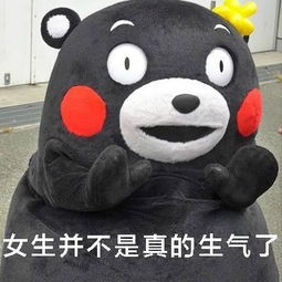 熊本熊头像不带字起床
