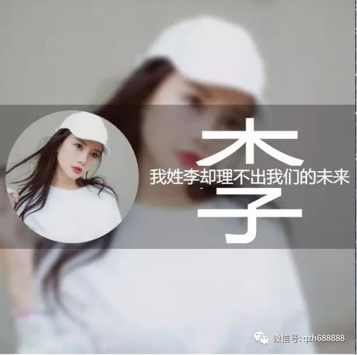 姓氏头像朱图腾