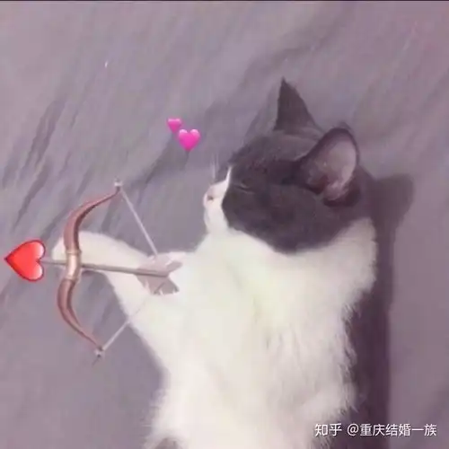  领证篇67条朋友圈官宣文案,让你回复评论到手软小众不俗气