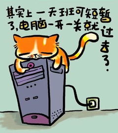  人生歪理,值得一看,小眼睛转过来