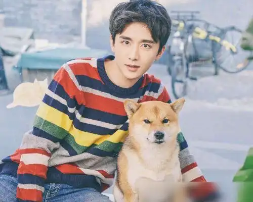  张新成自曝数学不好,得知他曾考过的分数后,我没看错吧