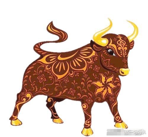 金牛图片可爱头像大生肖