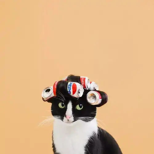 猫咪治愈系头像拟人崔尔