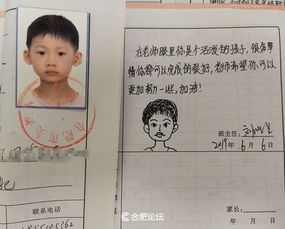  合肥市芙蓉小学创意期末评语引关注