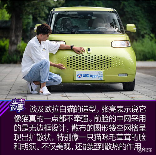  猫系青年的欧拉白猫深度吸猫指南