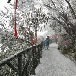  2019年2月春节后的三天假期广州飞张家界天门山武陵源的冰封雪景