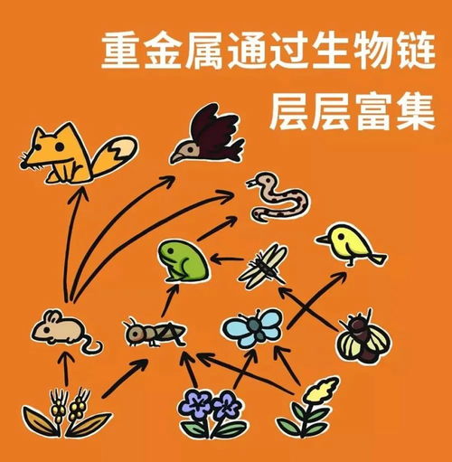  看好这些动物都算野味了别再吃了
