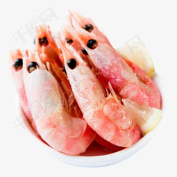  绿色食品海鲜素材图片免费下载高清png千库网图片编号8053618