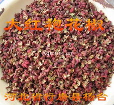  中国蔬菜网-欢迎加入中国蔬菜网!