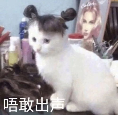 武林外传头像沙雕姐妹憨