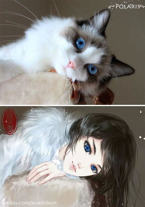  把猫咪狗子画成了古风美少年这个小姐姐在国外网站火了