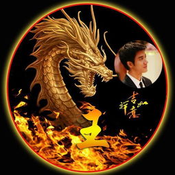  您该换个微信头像了,火焰龙头火麒麟火凤凰姓氏头像,请查收