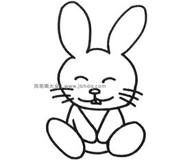 动物简笔画头像图片兔子