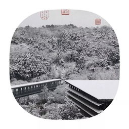  一角雪景尽皆宋人山水小品,走进雪后的杭州苏州青岛
