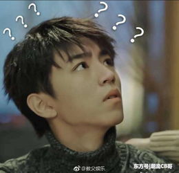  王俊凯主演的天坑鹰猎到底有多少种错误叫法笑的肚子疼