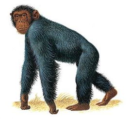  中国细胞生物学学会