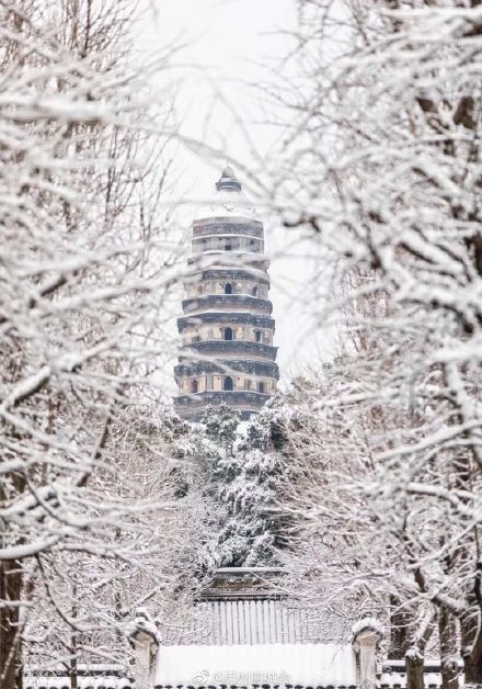  最美不过西湖雪下过雪的杭州宛若仙境,美到令人窒息...