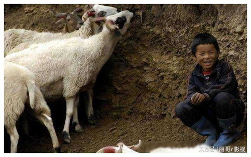  寇金成狼咬半脸,米糊维生,娶妻后如何逆袭人生