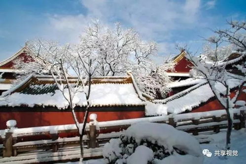  2018金陵初雪,盘点南京雪景最美的几个地方