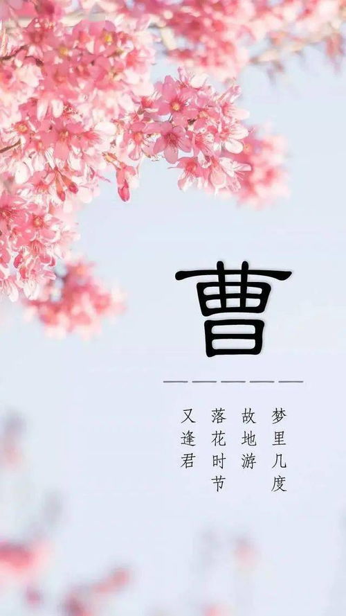  28张写有姓氏的手机壁纸落花时节又逢君