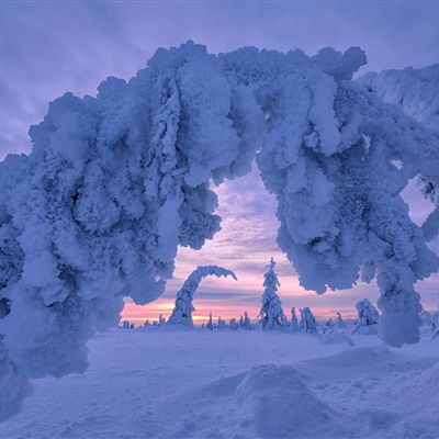 雪景头像高清唯美雪景