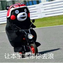  熊本熊搞笑呆萌带字头像2018最新最好的滋味就是耐人寻味
