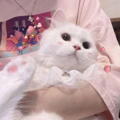  一眼就看上的闺蜜头像闺蜜网名