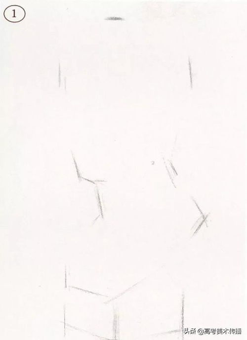 头像素描照片素材素描石