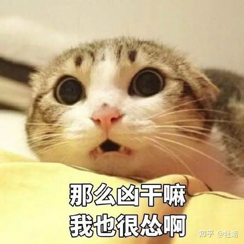  广州工程职业技术学院怎么样,宿舍,食堂怎么样