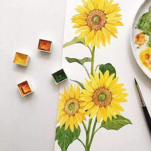  插画师yirangkim笔下的小清新植物手绘,让你的心情得到治愈