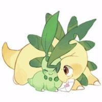  554