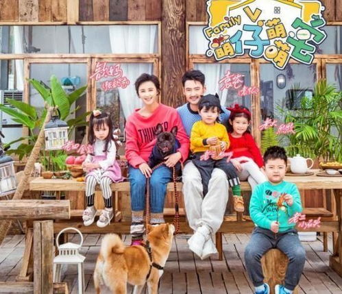  张歆艺袁弘实力带4娃,个个天赋异禀,明道他将是大企业家