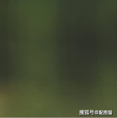  趣味整人朋友圈九宫格,教你如何整友友开搞
