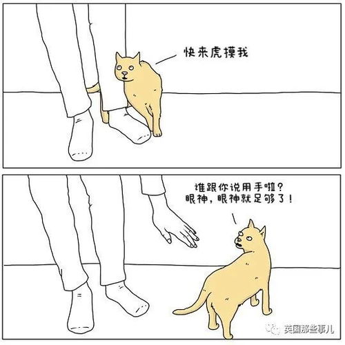  如果动物们会说话果然个个都是蠢萌沙雕蛇精病
