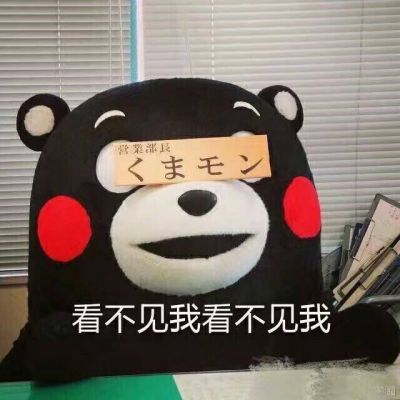  熊本熊搞笑呆萌带字头像2018最新最好的滋味就是耐人寻味