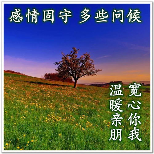 风景图片头像带字唯美文