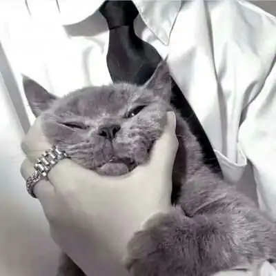  男头猫奴愿喜不喜勿喷泽qq男生头像我要个性网