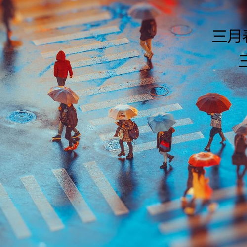  第7章作业1设计洪水计算颜斐