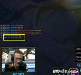  lolg2赢下skt打出gg,perkz行为引热议网友嘲讽又怎样