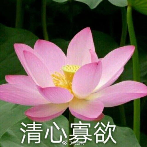  以前踩lwh的所有加起来都没今天的事让我生气