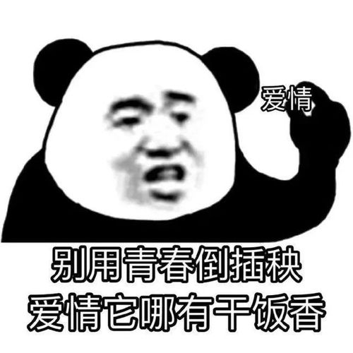  沙雕熊猫专场