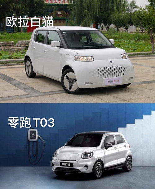  长城欧拉白猫成安全堡垒零跑t03瑟瑟发抖