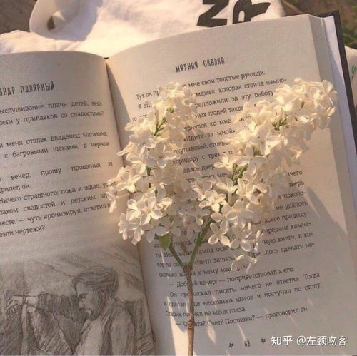  有哪些很酷的朋友圈文案