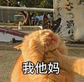 微信搞笑头像霸气搞怪