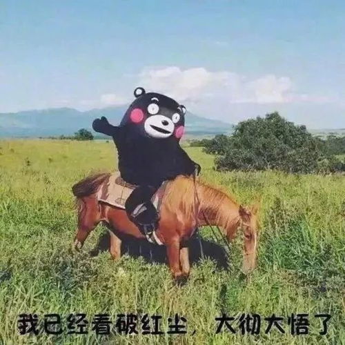  女生等男生回消息的样子哈哈哈哈太真实了