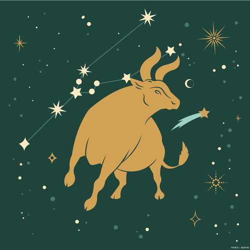  爱过就不回头天蝎摩羯金牛座的感情决绝模式大揭秘