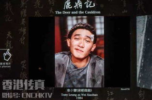  探秘金庸馆除了武侠,金庸居然还写过