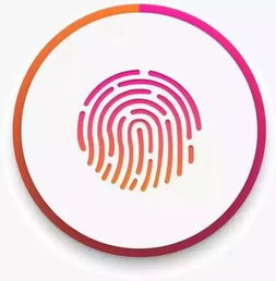  网络安全宣传周青少年日拍照比剪刀手居然会泄露指纹信息