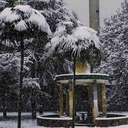  2018城南的最后一场雪
